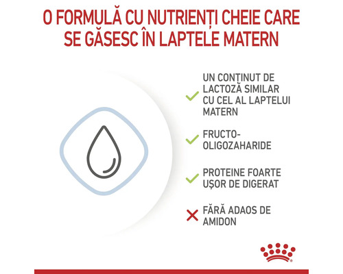 Logo Royal Canin. Infografic: nutrienți din laptele matern, lactoză similară, fructo-oligozaharide, proteine ușor de digerat, fără adaos de amidon.