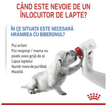 Un cățeluș hrănit cu biberonul, informații despre înlocuitorul de lapte. Logo Royal Canin.