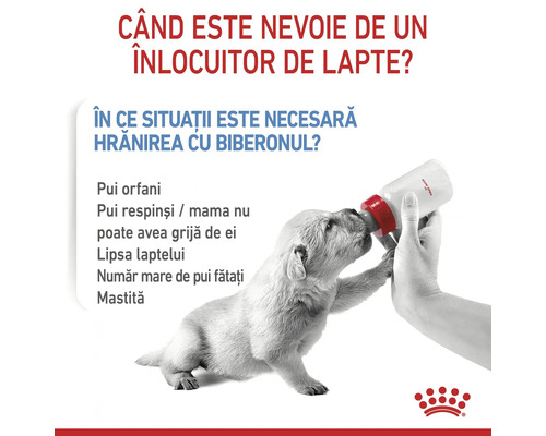 Un cățeluș hrănit cu biberonul, informații despre înlocuitorul de lapte. Logo Royal Canin.