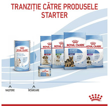 Tranziție de la laptele Royal Canin Babydog Milk la diverse produse Starter pentru căței în timpul fazei de înțărcare. Royal Canin Logo.