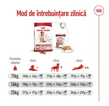 Ghid de hrănire pentru Royal Canin Medium Adult 7 plus cu porții zilnice în grame sau grame plus o conservă în funcție de greutate și activitate.