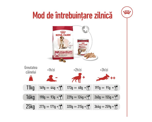 Ghid de hrănire pentru Royal Canin Medium Adult 7 plus cu porții zilnice în grame sau grame plus o conservă în funcție de greutate și activitate.