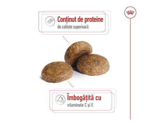 Trei bobițe de hrană uscată pentru pisici cu conținut ridicat de proteine și vitaminele C și E. Logo Royal Canin.
