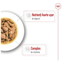 Hrană umedă pentru pisici într-un bol cu nutrienți ușor de digerat și un complex de vitamine. Royal Canin Logo.