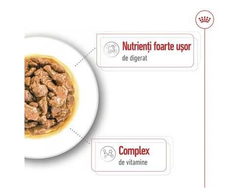 Hrană umedă pentru pisici într-un bol cu nutrienți ușor de digerat și un complex de vitamine. Royal Canin Logo.