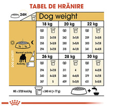 Tabel de hrănire pentru câini între 18 și 30 de kilograme cu porții în grame și cupe în funcție de activitate și Royal Canin Logo.