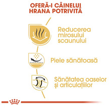 Simboluri pentru reducerea mirosului scaunului, piele sănătoasă și sănătatea oaselor și articulațiilor. Logo Royal Canin.