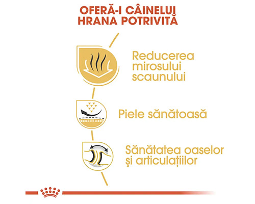 Simboluri pentru reducerea mirosului scaunului, piele sănătoasă și sănătatea oaselor și articulațiilor. Logo Royal Canin.