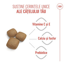 Boabe de hrană pentru câini cu vitaminele C și E, calciu, fosfor și prebiotice. Royal Canin Logo.