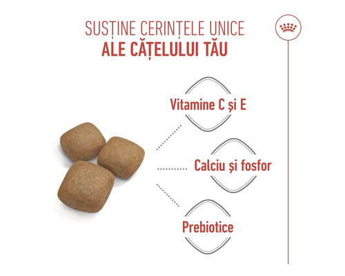 Boabe de hrană pentru câini cu vitaminele C și E, calciu, fosfor și prebiotice. Royal Canin Logo.
