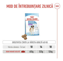 Ghid hrănire hrană uscată Royal Canin Junior Giant, greutate țintă 60 kilograme, susține sistemul imunitar și dezvoltarea musculară. Royal Canin Logo.