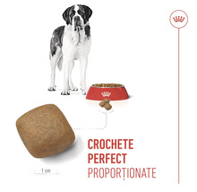 Crochete Royal Canin perfect proporționate pentru câini de talie mare cu dimensiunea de 1 centimetru.