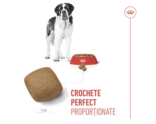 Crochete Royal Canin perfect proporționate pentru câini de talie mare cu dimensiunea de 1 centimetru.