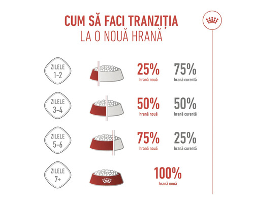 Infografic despre tranziția la o hrană nouă în 7 zile: creșterea treptată a hranei noi de la 25 la 100 de procente. Royal Canin Logo.