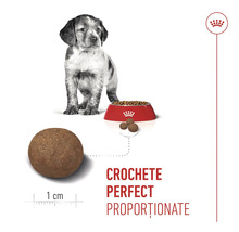 Cățeluș lângă un bol cu hrană pentru câini și o imagine de aproape a unei crochete cu diametrul de 1 centimetru. Royal Canin Logo.
