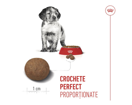 Cățeluș lângă un bol cu hrană pentru câini și o imagine de aproape a unei crochete cu diametrul de 1 centimetru. Royal Canin Logo.