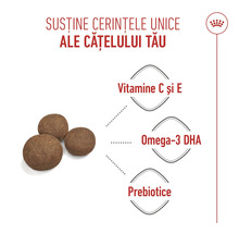 Logo Royal Canin, boabe de hrană pentru câini cu informații despre Vitamina C și E, Omega-3 DHA și prebiotice pentru nevoile cățeilor.