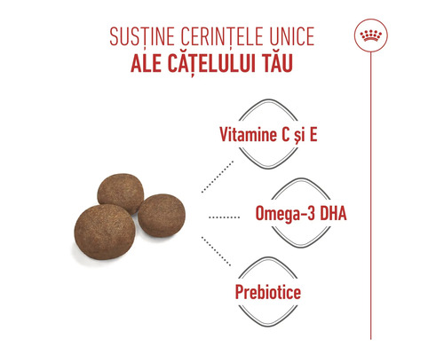 Logo Royal Canin, boabe de hrană pentru câini cu informații despre Vitamina C și E, Omega-3 DHA și prebiotice pentru nevoile cățeilor.