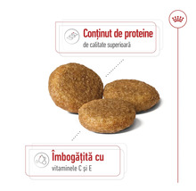 Boabe de hrană uscată cu conținut de proteine de calitate superioară și vitaminele C și E. Royal Canin Logo.