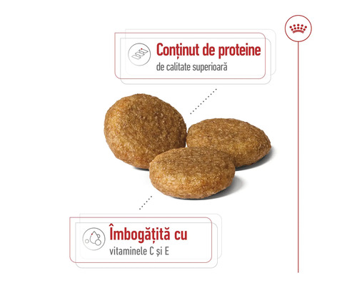Boabe de hrană uscată cu conținut de proteine de calitate superioară și vitaminele C și E. Royal Canin Logo.