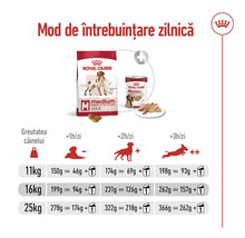 Ghid de hrănire Royal Canin Medium Adult cu porții zilnice în grame, în funcție de greutate, activitate și hrănire mixtă.