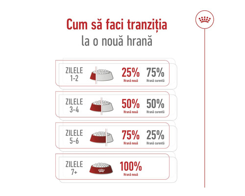 Infografic pentru tranziția la hrană pe parcursul a șapte zile cu procentele de hrană nouă și curentă și Royal Canin Logo.
