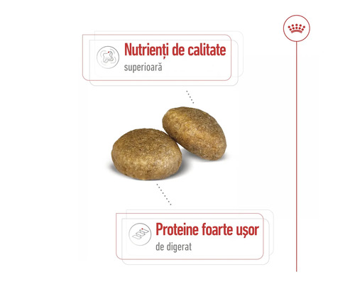 Logo Royal Canin, bobiță de hrană uscată pentru pisici cu nutrienți de înaltă calitate și proteine ușor de digerat.