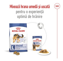 Hrană pentru câini Royal Canin Maxi Adult, sac de hrană uscată și plic de hrană umedă cu recomandare de amestecare. Logo Royal Canin.