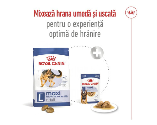 Hrană pentru câini Royal Canin Maxi Adult, sac de hrană uscată și plic de hrană umedă cu recomandare de amestecare. Logo Royal Canin.