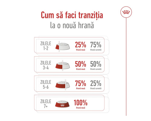 Infografic pentru tranziția hranei în șapte zile cu Royal Canin Logo: creșterea treptată a ponderii hranei noi de la 25 la sută la 100 la sută.