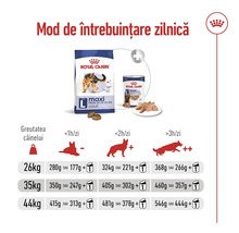 Royal Canin Logo. Ghid de hrănire pentru Royal Canin Maxi Adult cu porții zilnice bazate pe greutate și nivelul de activitate al câinelui.
