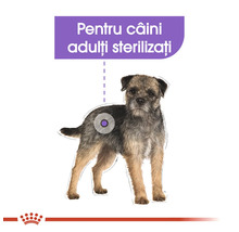 Logo Royal Canin și ilustrație cu un câine pentru câini adulți sterilizați.