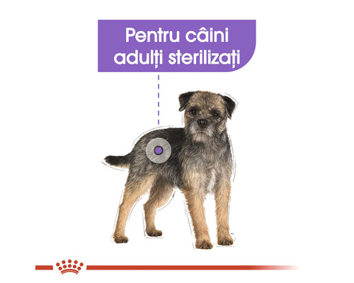 Logo Royal Canin și ilustrație cu un câine pentru câini adulți sterilizați.