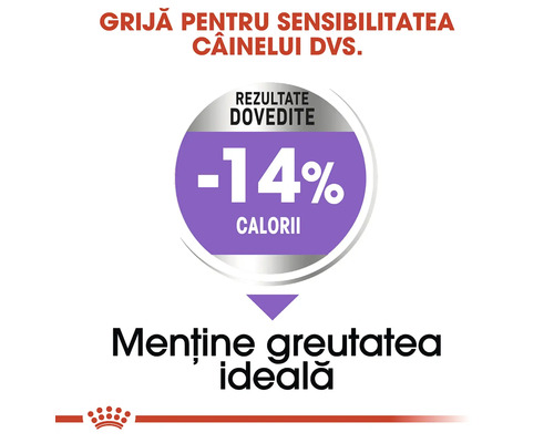 Grafică publicitară pentru hrană pentru câini care indică 14 la sută mai puține calorii pentru menținerea greutății ideale. Royal Canin Logo.