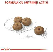 Vedere detaliată a bucăților de hrană pentru animale sub formă de inel cu o mărime de aproximativ 1 centimetru și formulă cu nutrienți activi. Royal Canin Logo.