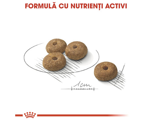 Vedere detaliată a bucăților de hrană pentru animale sub formă de inel cu o mărime de aproximativ 1 centimetru și formulă cu nutrienți activi. Royal Canin Logo.