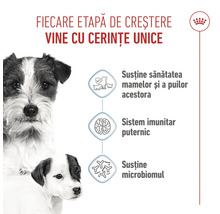 Hrană pentru câini Royal Canin pentru mame și pui, susține sistemul imunitar și microbiomul, Royal Canin Logo.