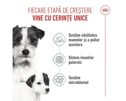 Hrană pentru câini Royal Canin pentru mame și pui, susține sistemul imunitar și microbiomul, Royal Canin Logo.