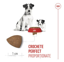 Crochete Royal Canin pentru câini Jack Russell Terrier cu dimensiunea de 1 centimetru.