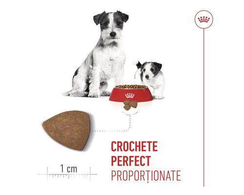 Crochete Royal Canin pentru câini Jack Russell Terrier cu dimensiunea de 1 centimetru.