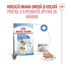 Royal Canin Starter Mini hrană uscată și umedă pentru hrănirea combinată a cățeilor de talie mică.