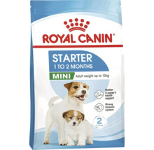 Hrană pentru câini Royal Canin Starter Mini pentru căței și femele de talie mică de până la 10 kilograme.