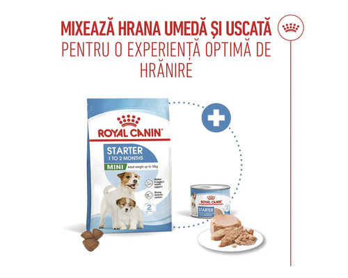 Hrană uscată și umedă Royal Canin Mini Starter pentru căței și femele care alăptează. Recomandare pentru hrănire mixtă.