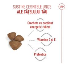 Crochete pentru căței cu conținut energetic ridicat, vitaminele C și E și prebiotice pentru susținerea cerințelor puilor. Royal Canin Logo.