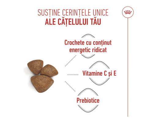 Crochete pentru căței cu conținut energetic ridicat, vitaminele C și E și prebiotice pentru susținerea cerințelor puilor. Royal Canin Logo.