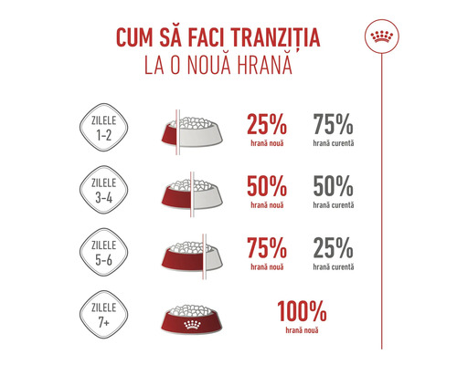 Tranziția la hrană în 7 zile: zilele 1 la 2 25 la sută nou, zilele 3 la 4 50 la sută, zilele 5 la 6 75 la sută, din ziua 7 100 la sută. Royal Canin Logo.