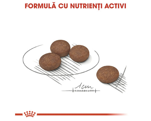 Patru granule rotunde pentru câini cu diametrul de 1 centimetru, formulă cu nutrienți activi. Royal Canin Logo.