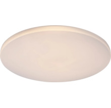 Plafonieră rotundă și plată cu abajur mat pentru interior.