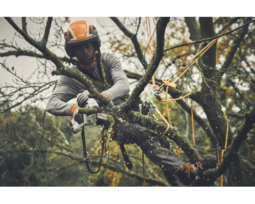 Arboricultor profesionist în haine de protecție cu harnașament de siguranță taie o ramură cu un motoferăstrău cu acumulator Stihl.