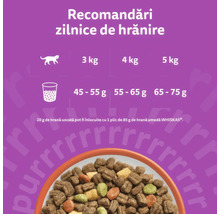 Recomandări zilnice de hrănire pentru hrană de pisici Whiskas. Cantitatea de hrană uscată în funcție de greutate de la 3 la 5 kilograme și înlocuirea cu hrană umedă.